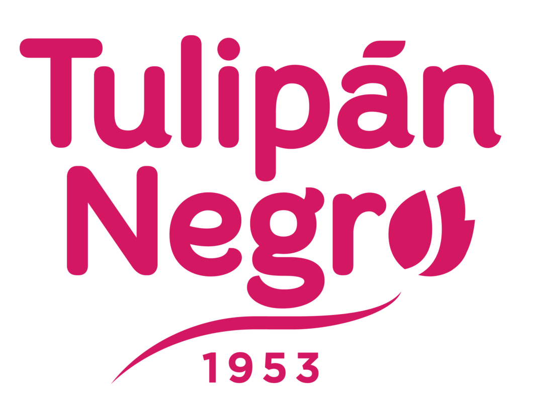 Tulipan